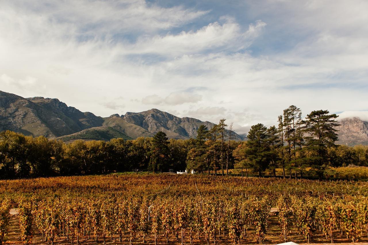 Rickety Bridge Manor House Franschhoek Exterior foto
